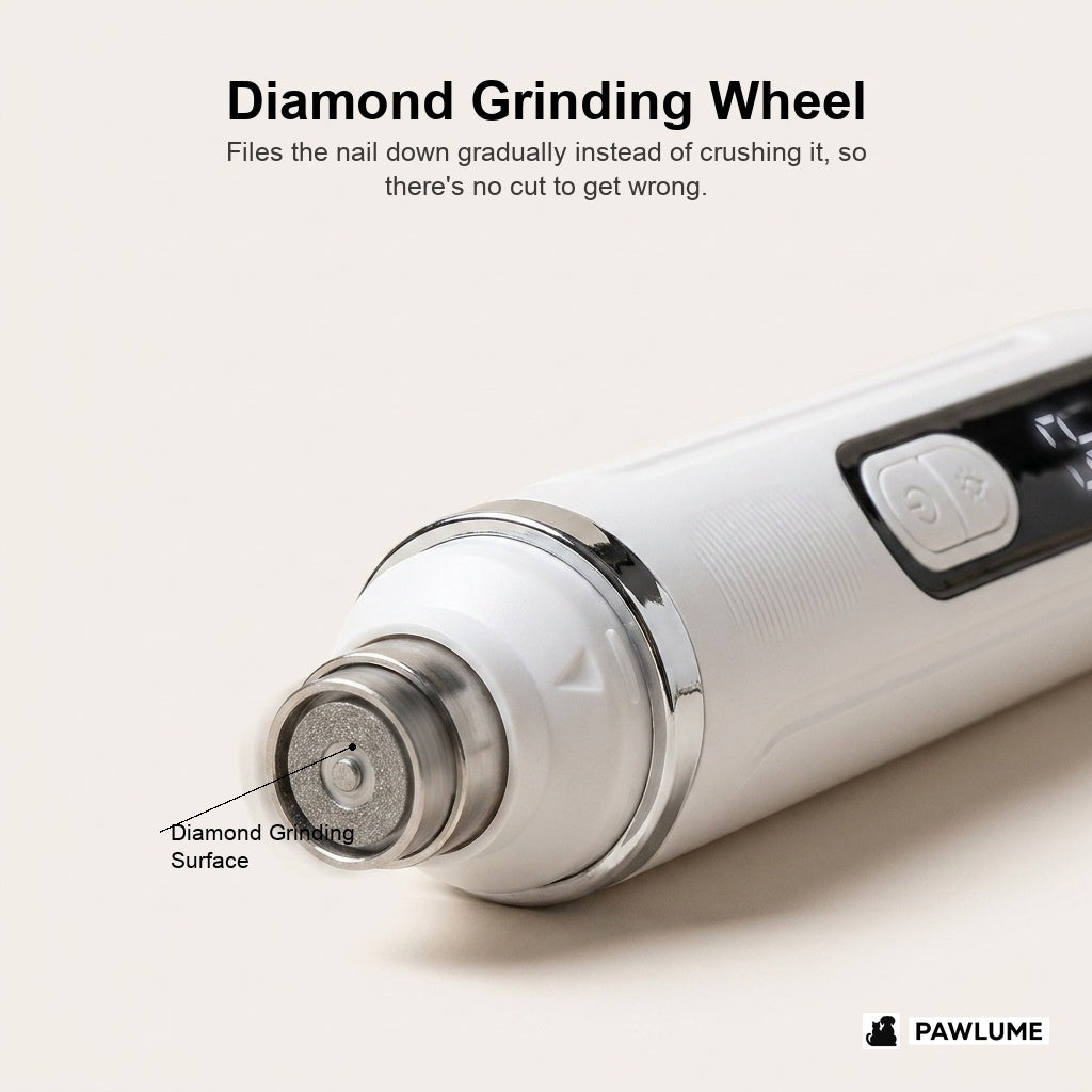 Pawlume diamond grinding wheel close-up